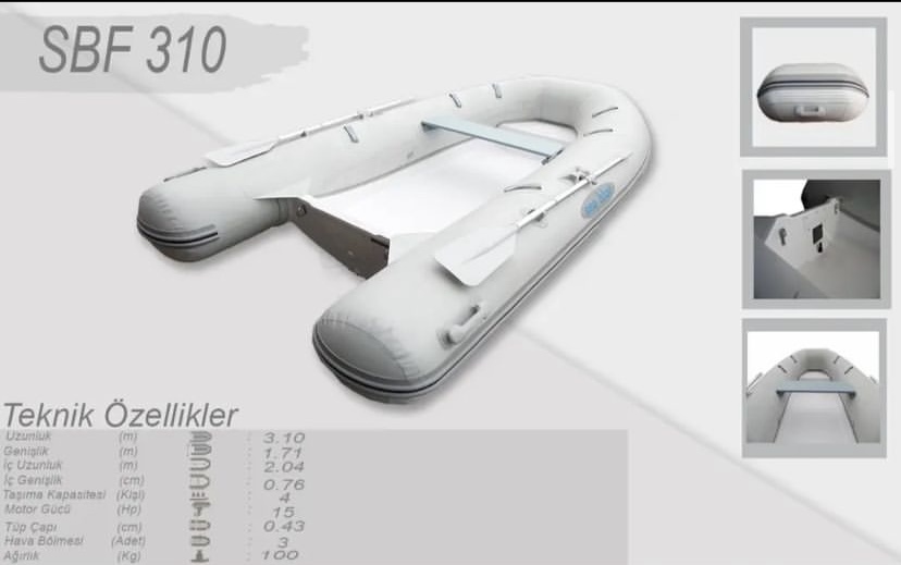 SBF310